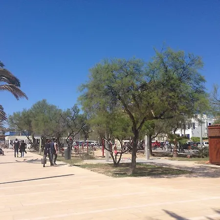 Apartament Ciutat Jardi * Palma de Mallorca